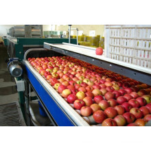 Fruit/ Apple/ Pear/Mango/ Orange Juice Production Line